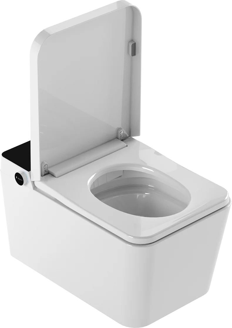 Inodoro Japonés con Smart Cleaning Mizubath Isla Suspendido